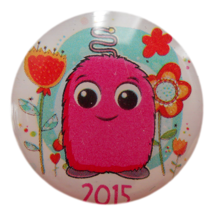 Fotografia do Pin da Campanha Pirilampo Mágico  do ano 2015